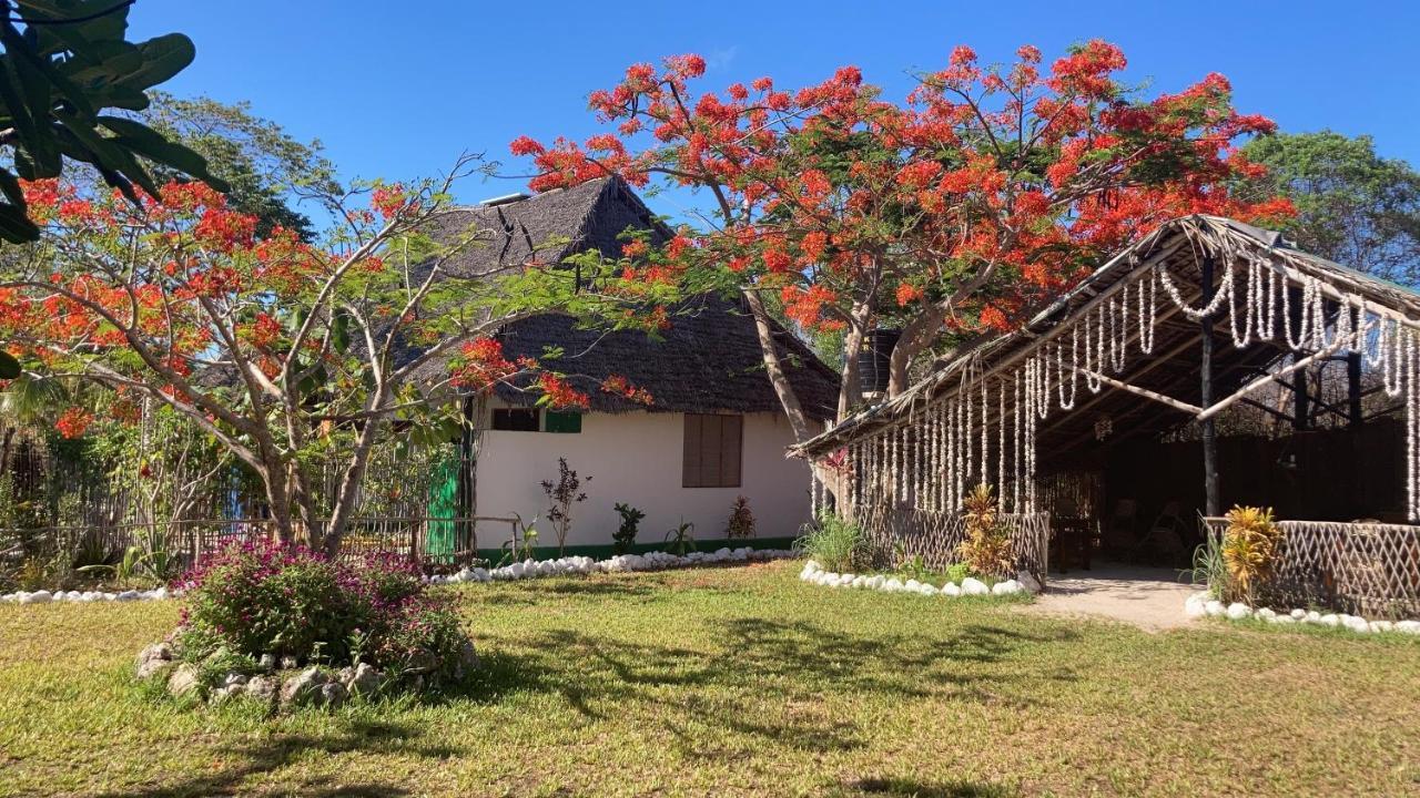 Botanica Eco Lodge Michamvi Extérieur photo